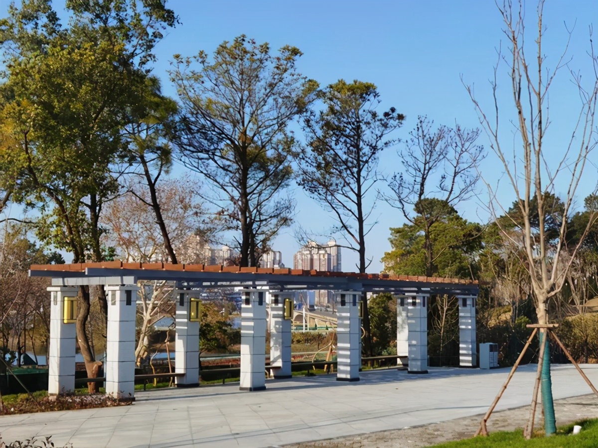 湖北高校风景,湖北风景最美的大学