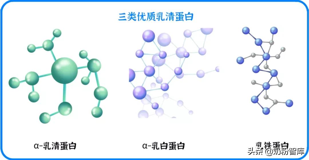 奶粉中的opo和乳铁蛋白哪个更重要,含有乳铁蛋白和cpp和opo的奶粉