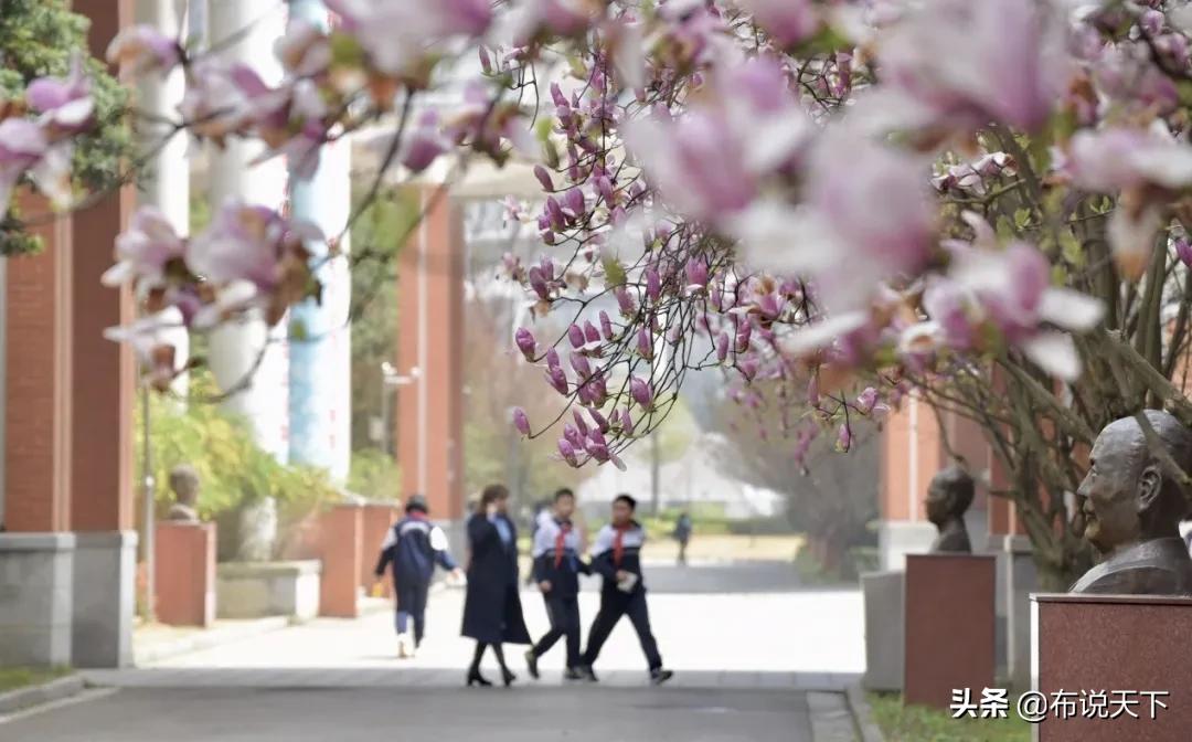 长郡梅溪湖中学和长郡中学,长郡梅溪湖中学配套入学范围
