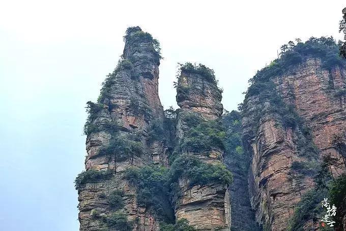 去张家界自助游攻略,张家界免门票自助游攻略图片真实