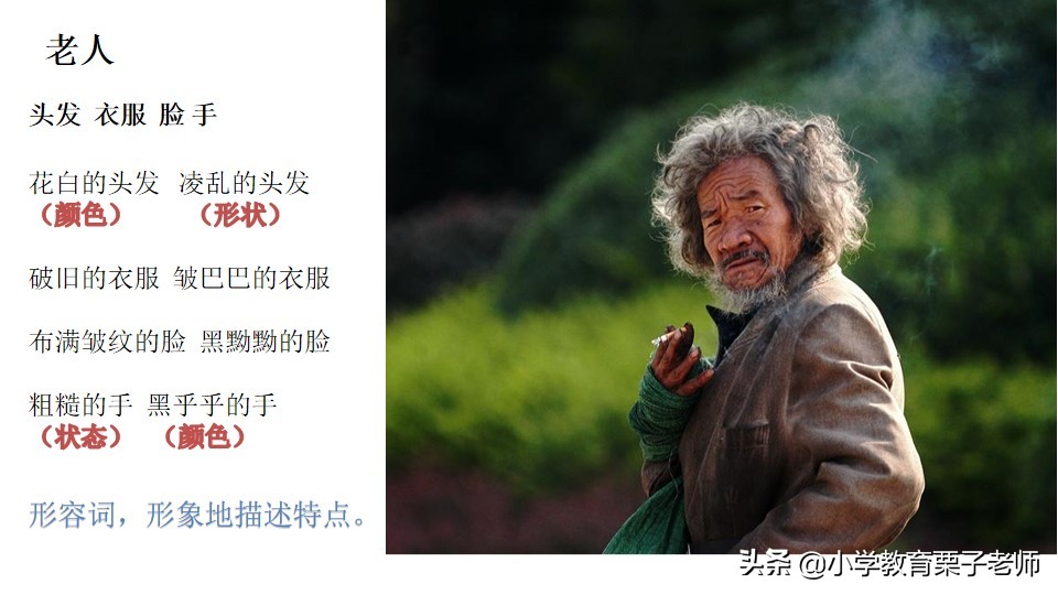 二年级下册语文语文园地五第一课,二年级语文园地五必背知识点