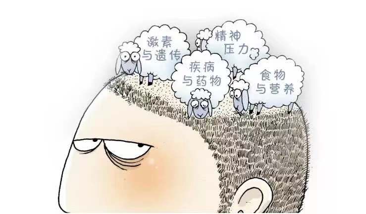 我国2.5亿人“秃了”，科学家找到“元凶”后反而更苦恼，咋回事