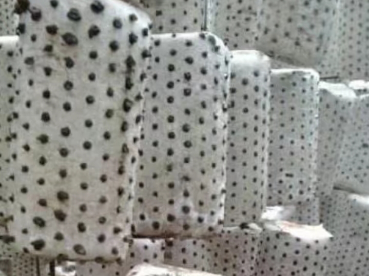 【原创】黑木耳代料栽培技术