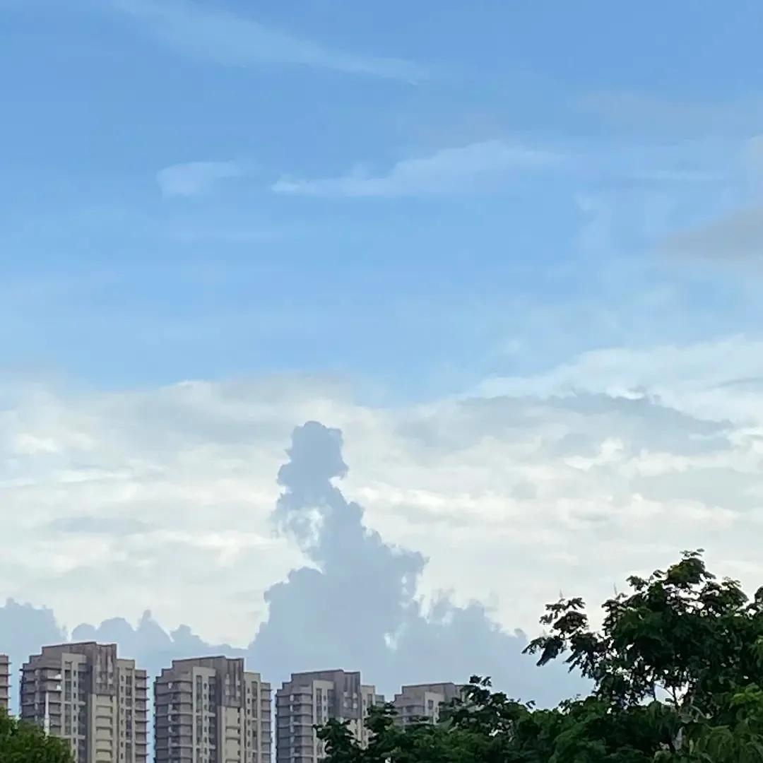 12个“无用”之美,第一个就被惊艳到了