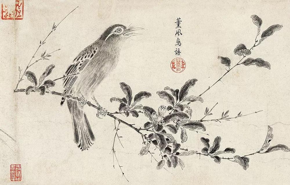 赵旭谈书画投资,赵旭谈创业视频