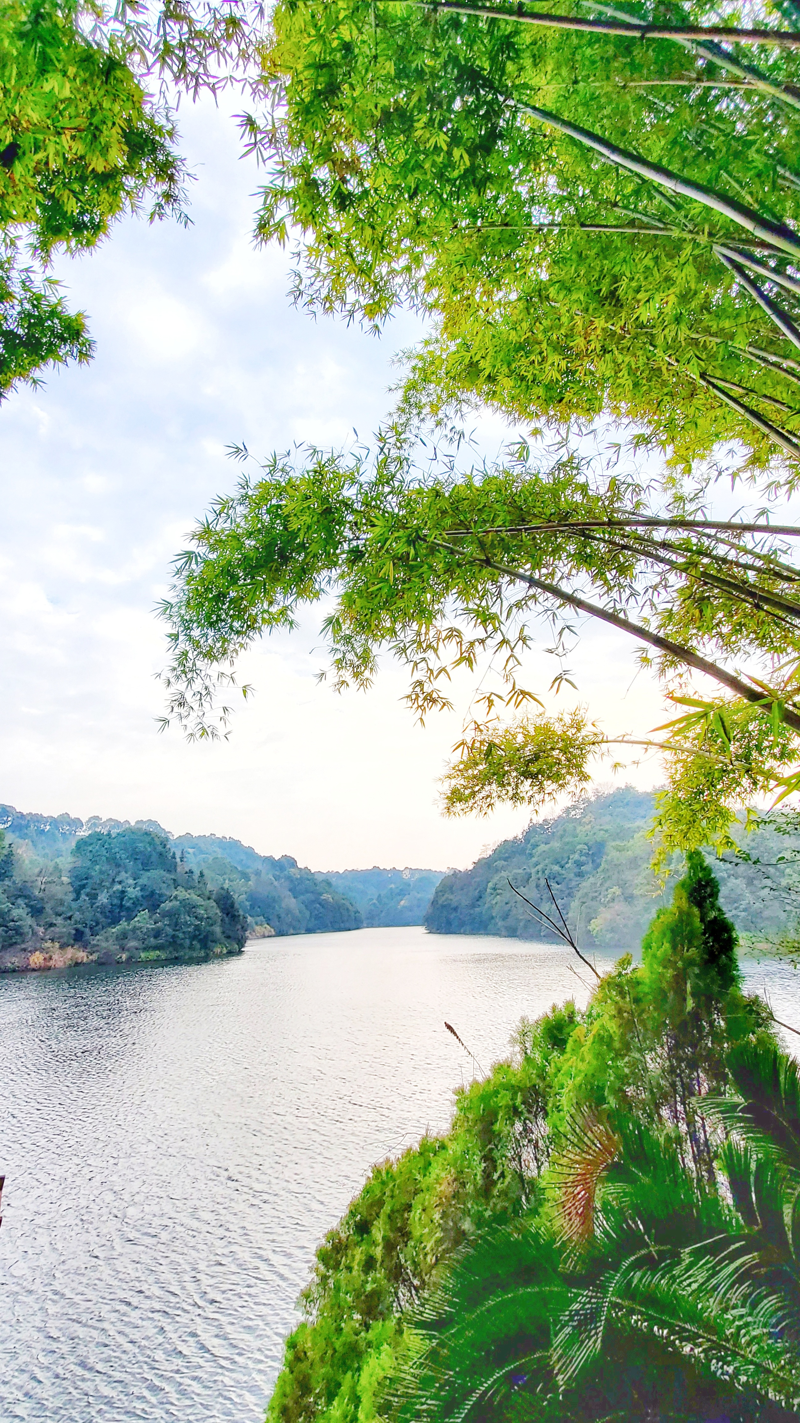 和春住。带着小神兽去踏青