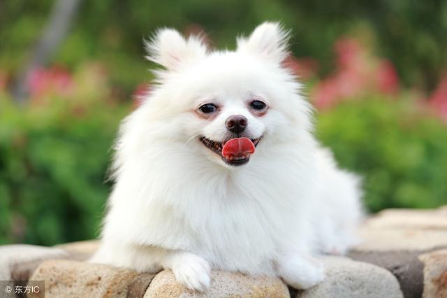 不花钱美容护肤小妙招,不用化妆的美容小妙招