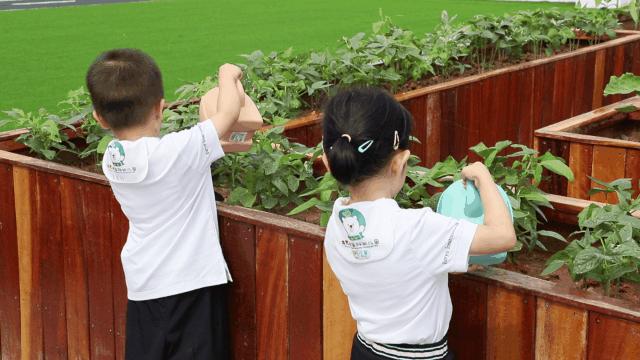 泉州幼儿园场地,泉州高质量幼儿园