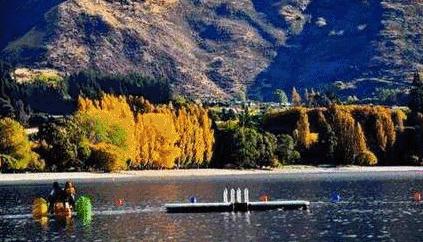 看了新西兰的这些酒庄和美食，让人蠢蠢欲动