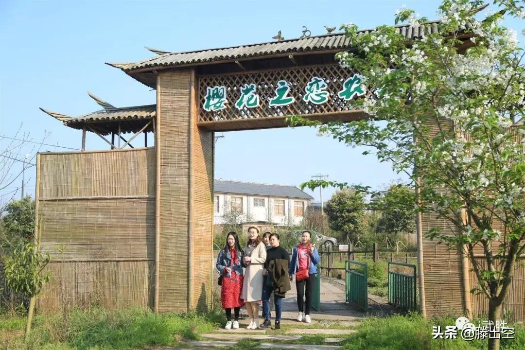 带你来樱花园看浪漫樱花,最美校园春天必打卡的樱花胜地