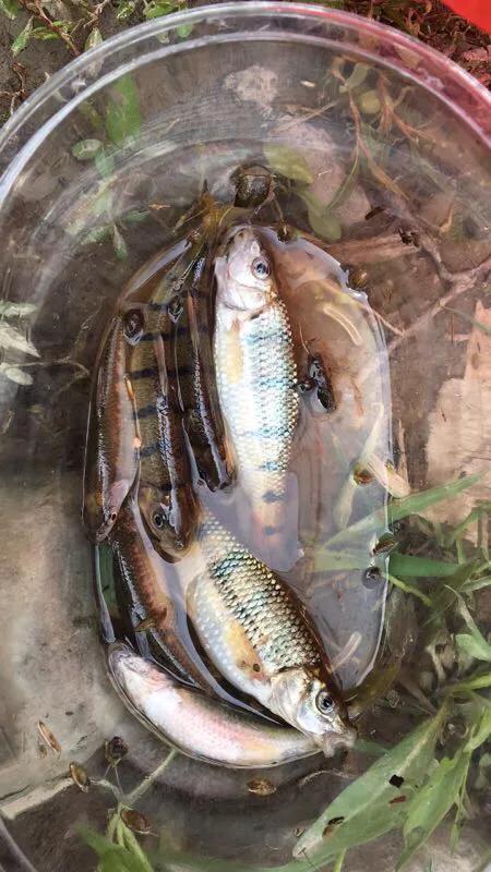 路亚亮片真的不要乱用，不是所有的路亚都会引起鱼儿的兴趣