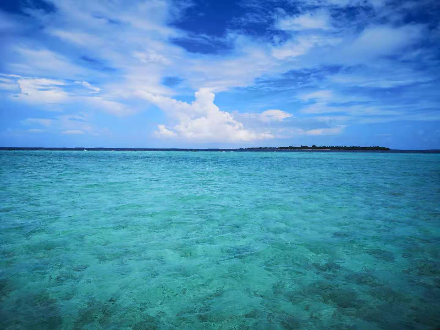 度蜜月去马尔代夫怎么选,度蜜月哪也不去可以干什么