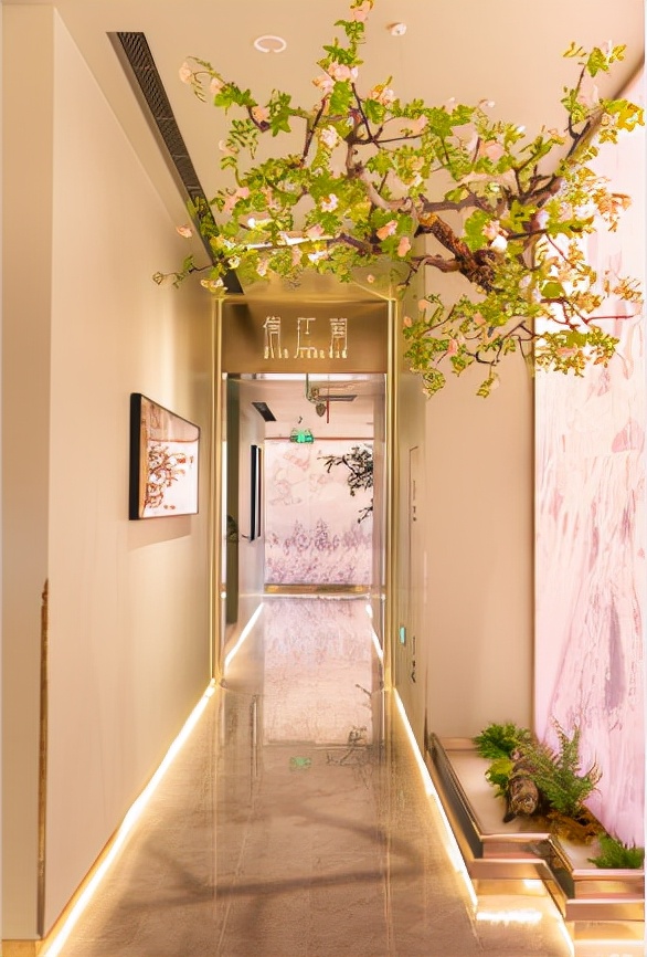 北国金秋好时光春城首遇“俏江南”