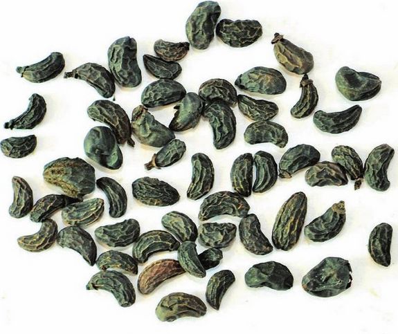 神农本草经滋阴通便的中草药,神农本草补津液