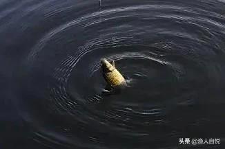 浮漂选什么尾型好看点,怎么挑选一只浮漂尾