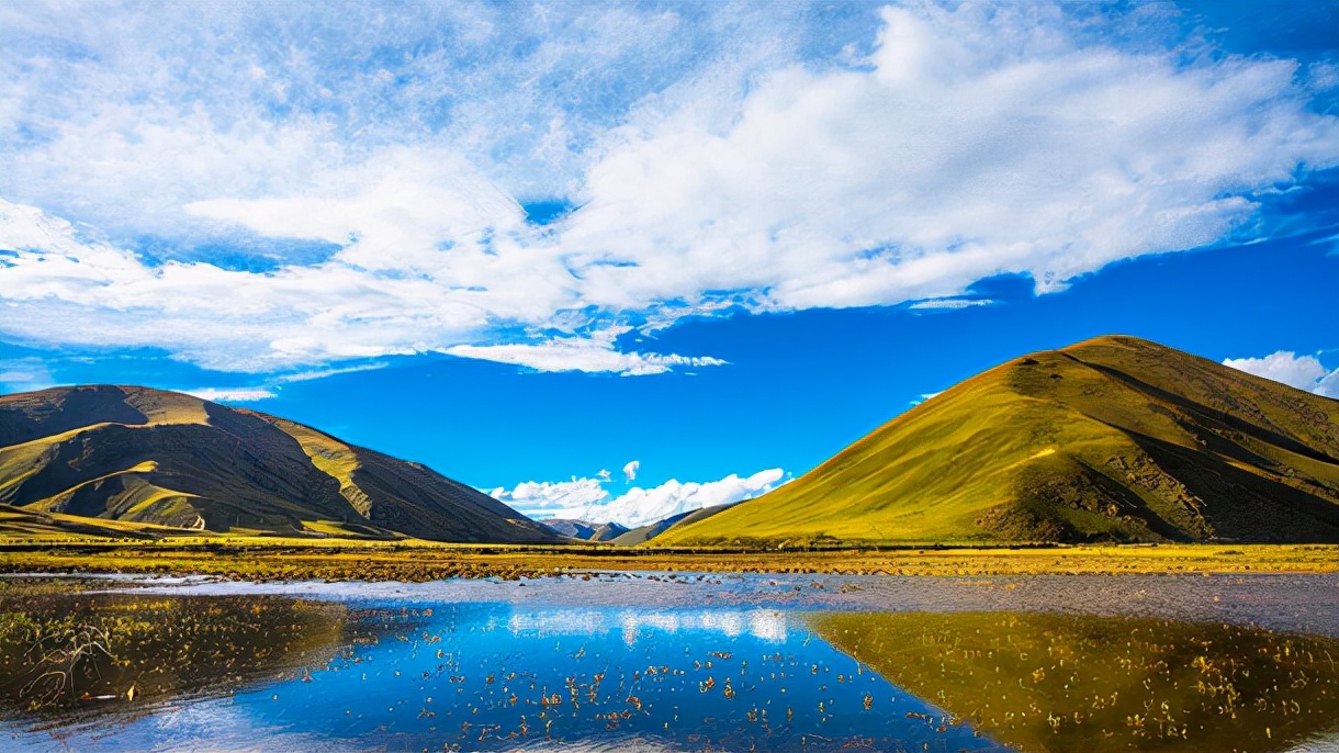 带「怡」字堂堂正正的宝宝名,真的是一名一气质