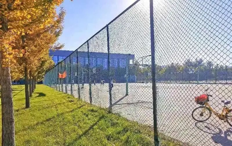 石家庄学院合集,石家庄学院校内