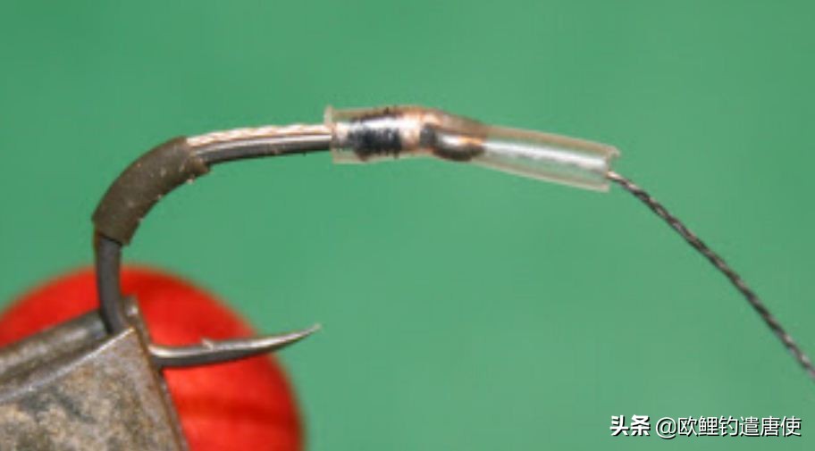 话说欧鲤钓组全集,欧鲤钓组可以钓哪些鱼