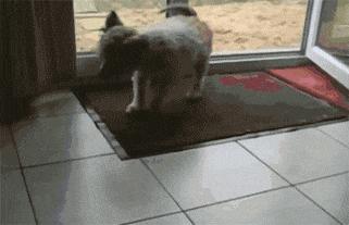 搞笑gif开心一刻,搞笑gif段子妹子你太皮了