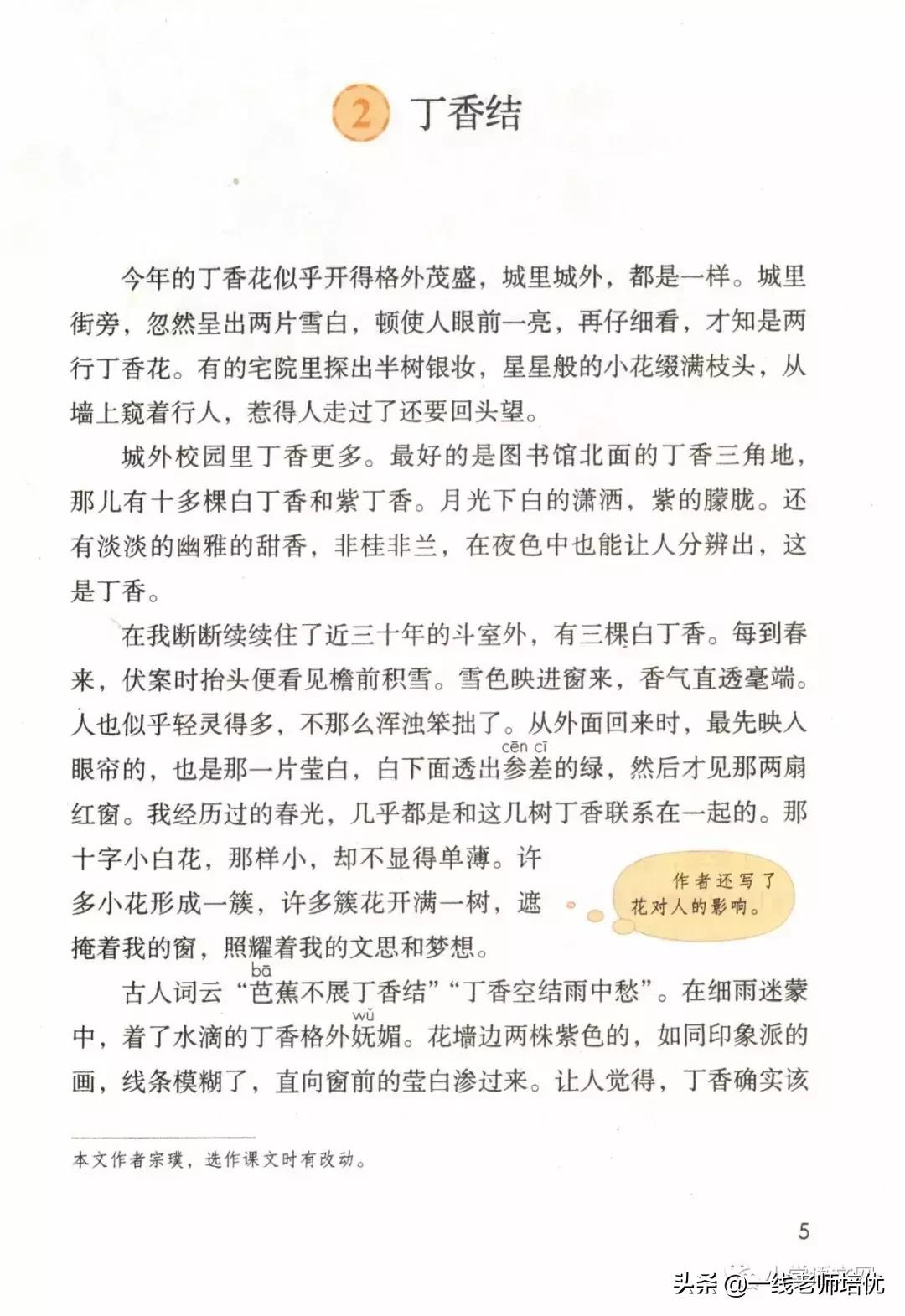 六年级上册第二课丁香结知识点,部编版六年级上册语文丁香结预习
