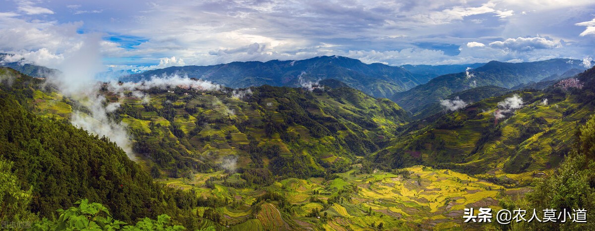荒山承包合同到期后怎么处理,承包土地栽树到期了树怎么办
