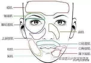 左眼皮上眼皮一直跳是什么预兆,左眼皮上眼皮跳是什么兆头