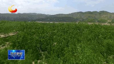 「深入学习贯彻市第五次*党**代会精神」柳林：沿黄旅游公路助力乡村振兴