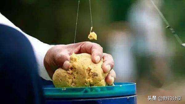 用尾巴钓鲨鱼你的鱼饵真独特,用尾巴钓鱼的感受