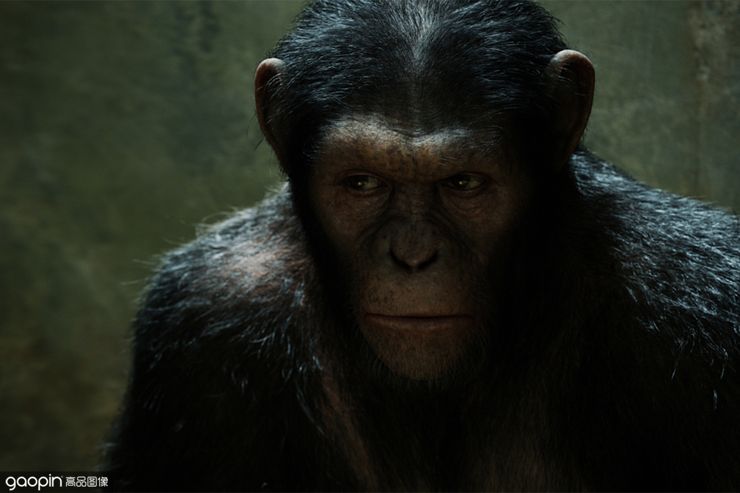 卓别林英伦男人,卓别林英伦cg