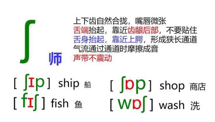 48个音标一对一发音讲解直播,48个国际音标正确发音英语老师