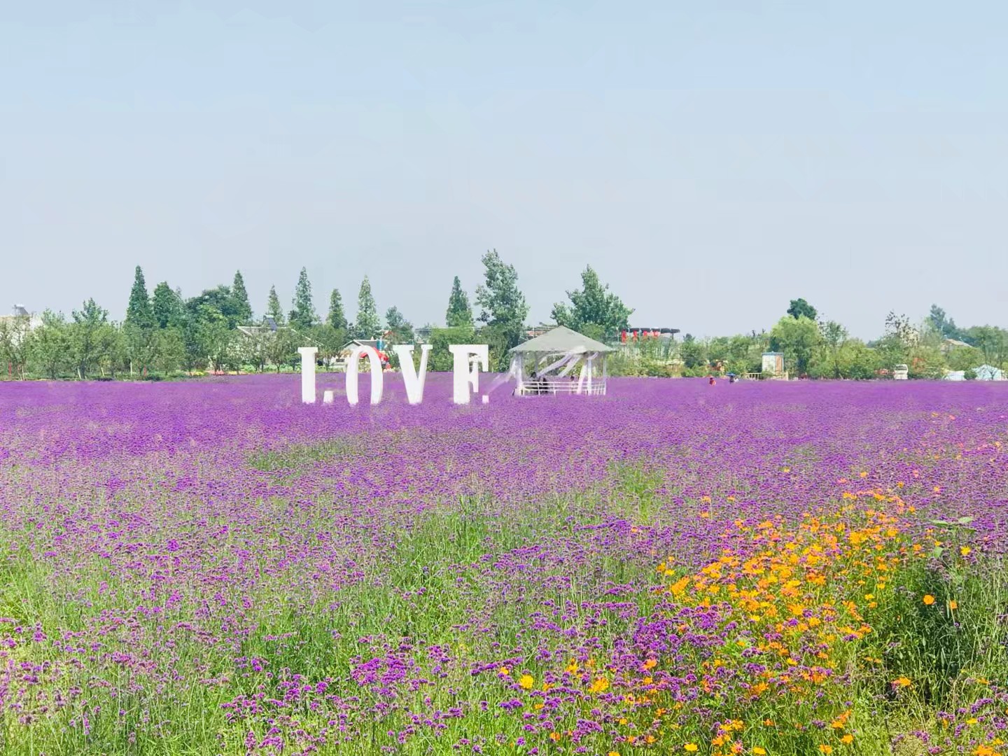 同心花海风景区,春光无限好旅游观光