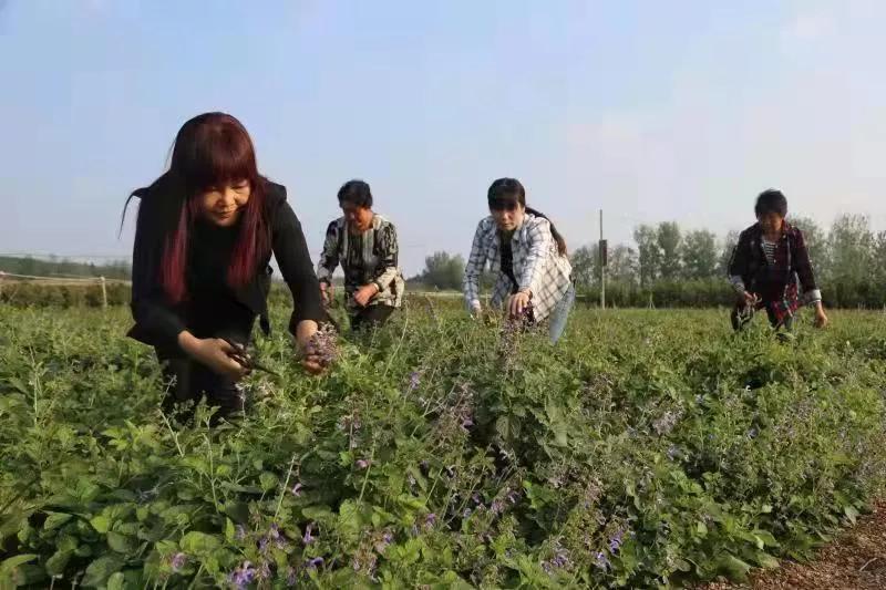 南阳看中医看得比较好的地方,在中原看中医