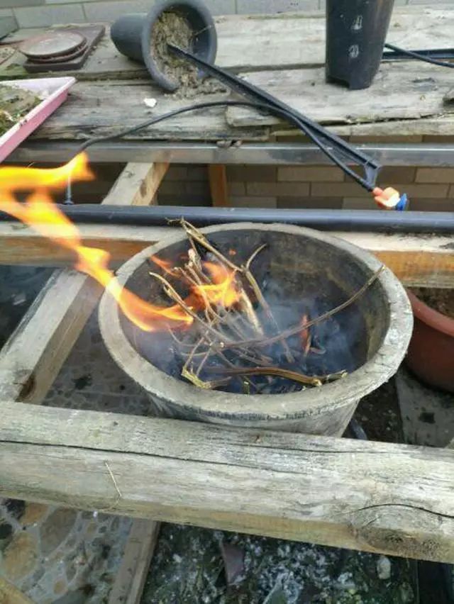 兰花的根腐烂用高锰酸钾消毒行吗,兰花分盆之后用什么给根消毒