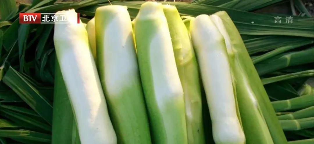 “水中珍宝”这样吃，媲美人参！控血脂、健脾胃、祛湿气……错过太可惜！