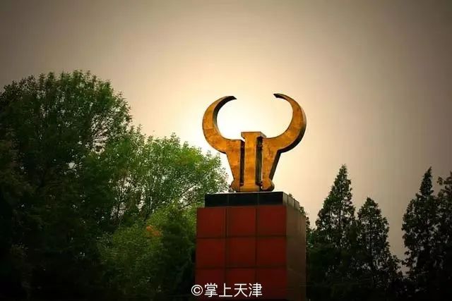 天津天拖推荐,天津天拖厂