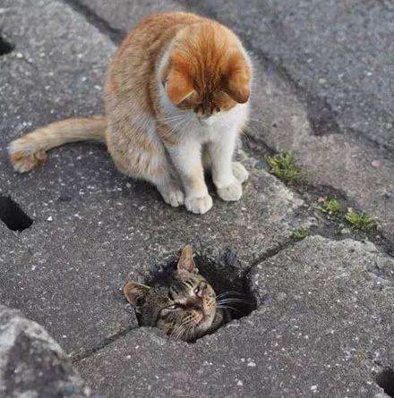 宝宝怎么正确护理屁股,宝宝屁股的正确护理方法