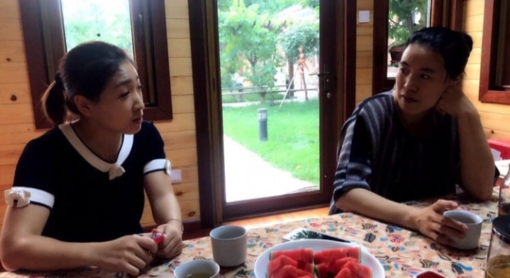 王楠刘诗雯现状,王楠刘诗雯2019