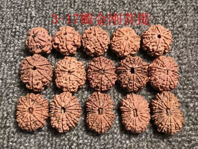 金刚菩提尼泊尔印尼区别,尼泊尔小金刚菩提子怎样快速变红