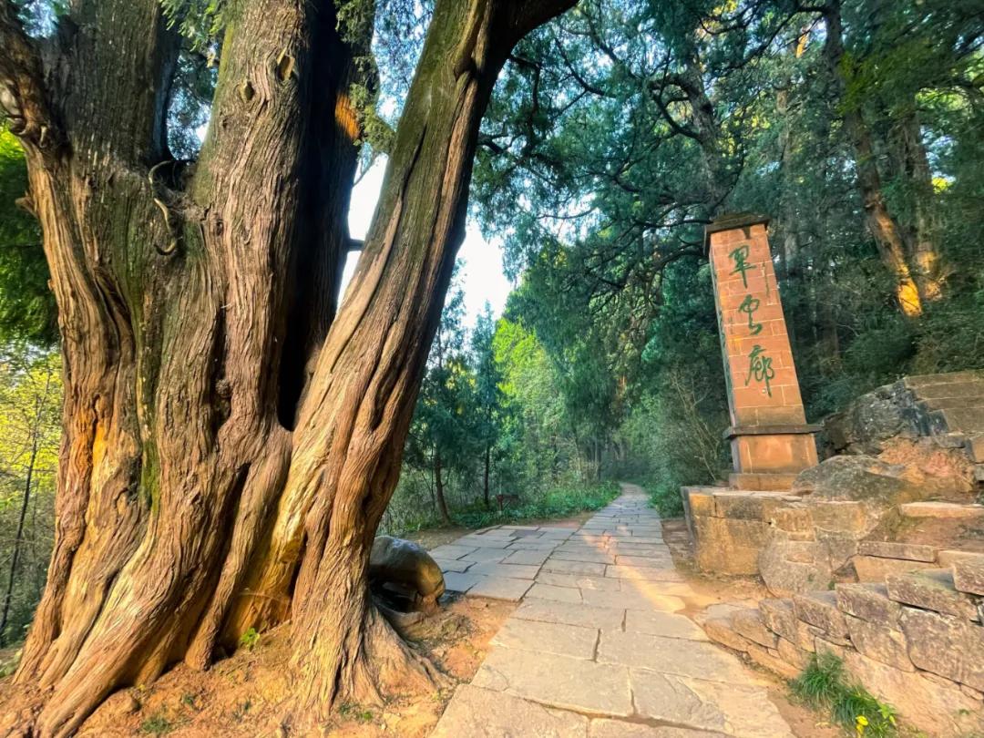 秦始皇张飞,秦始皇冬游