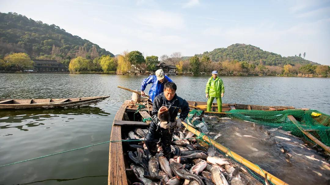 大过中国年高清原图,大过中国年