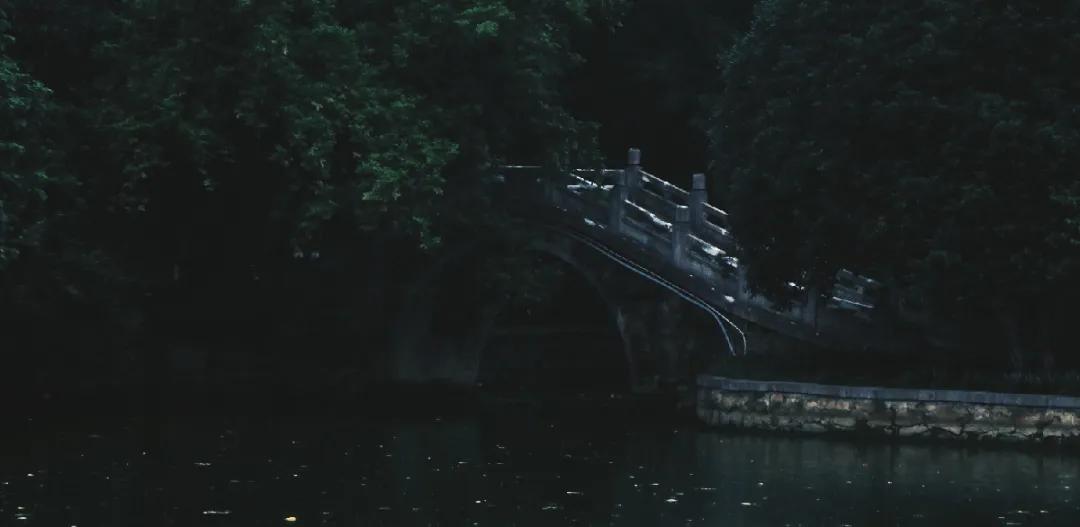 观银河,看银河听风吟的视频