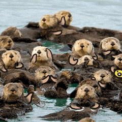 无印良品妆前乳隐匿毛孔好用吗,哪种妆前乳隐匿毛孔效果好点儿