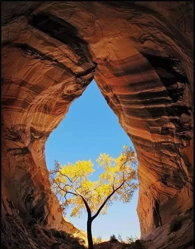 大自然的奇迹,大自然的奇迹鬼斧神工