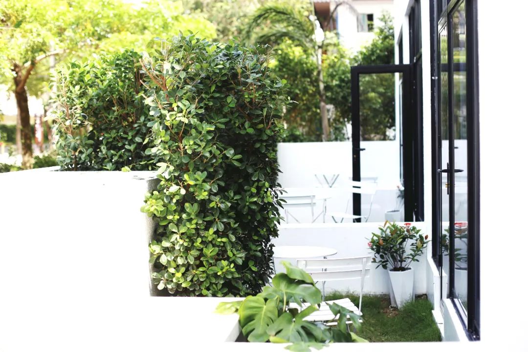 200元左右的民宿,三亚200平方米左右的民宿月租