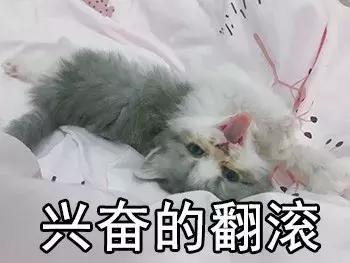 老板叫我去领取发票,老板叫你去买东西怎么办