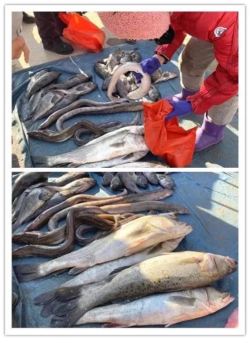 青岛春节大集攻略特色图,年货大集青岛全天