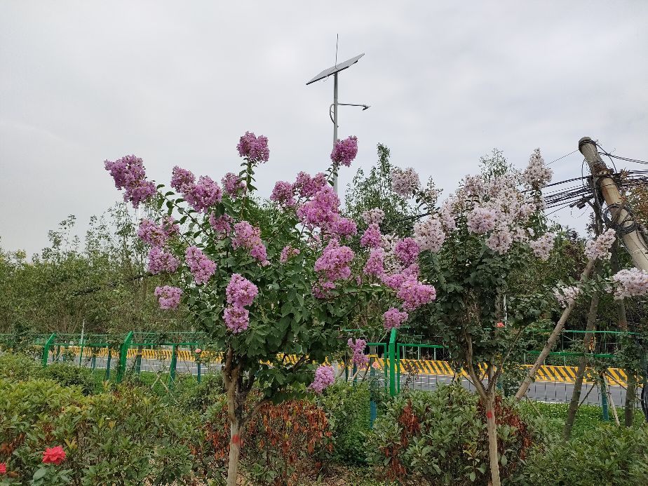 因过竹院逢僧话偷得浮生半日闲,偷得浮生半日闲下一句什么意思
