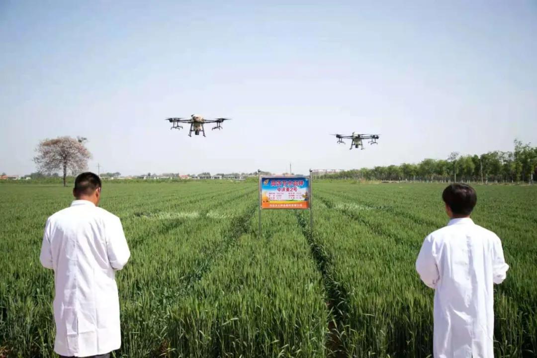 鑲ヤ埂娌冨湡绉嶄笟,鑲ヤ埂娌冨湡绉嶄笟鏈夐檺鍏徃鍦板潃