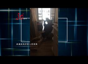 炒股群里讲师频频*脑洗**，313万忽忽悠悠就没了！