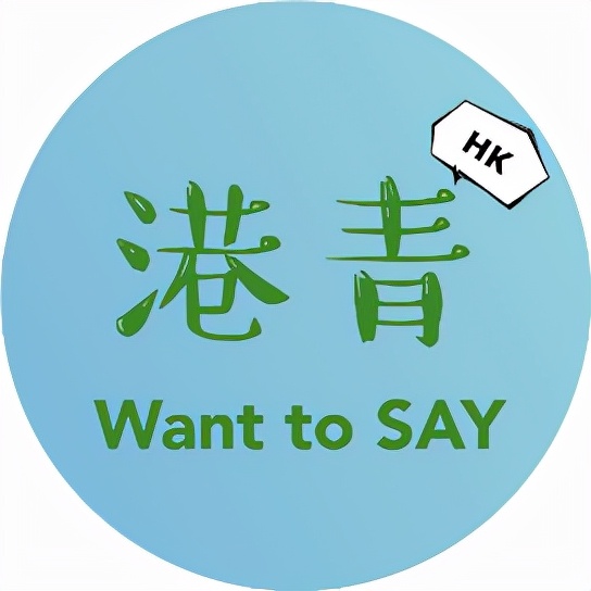 香港小巴体验,在香港怎么坐公共小巴